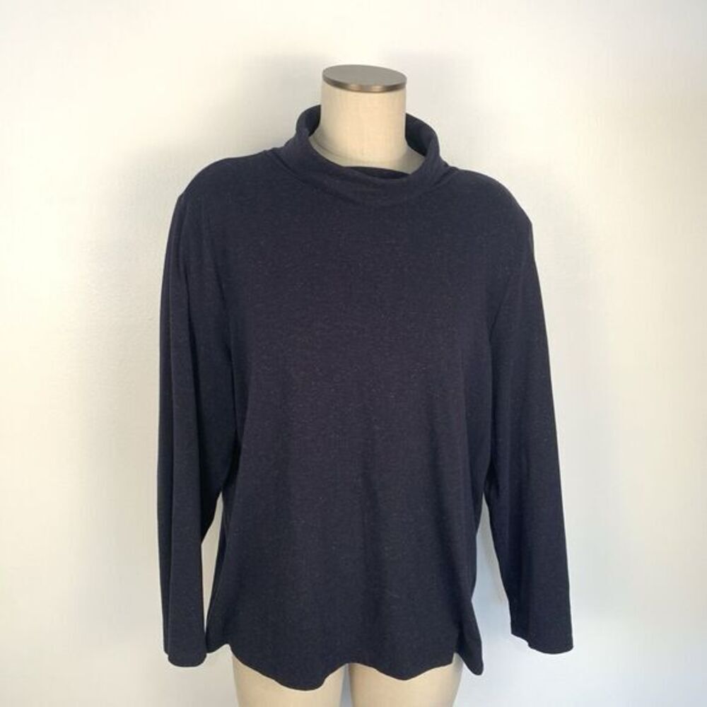 Talbots Pullover Turtleneck Cotton Blend Sparkle Glitter Womens Size 2XP
